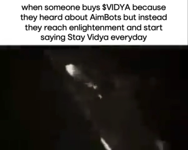 41.mp4